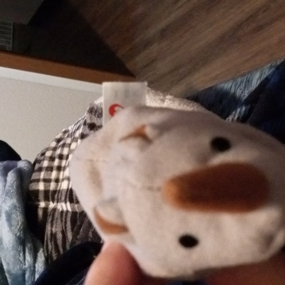 Spike the rhino 1999